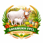 Gayamukh Farmers Producer Company Limited Gayamukh Farmers Producer Company Limited