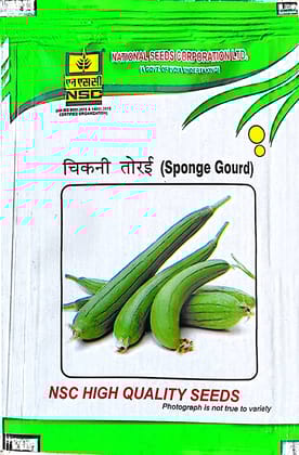 NSC SPONG GUARD   VAR. KASHI RAKSHITA