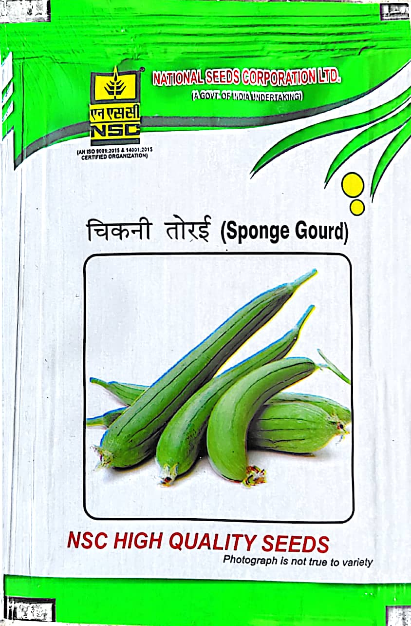 NSC SPONG GUARD   VAR. KASHI RAKSHITA