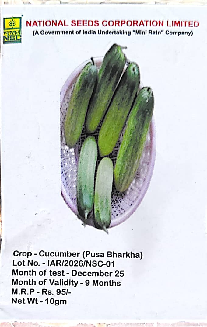 NSC Cucumber variety- PUSA BHARKHA, 10gm of TL seed