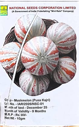 NSC Musk Melon variety-PUSA KAJRI, 5gm of TL seed 
