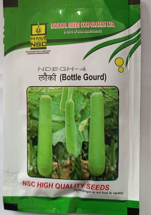 NSC BOTTLE GOURD - NDBGH-4