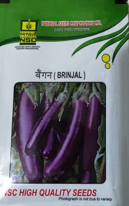 NSC BRINJAL variety- PPL, 10 gm of TL seed