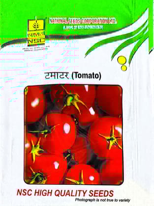 Tomato Hybrid: ARKA SAMRAT 