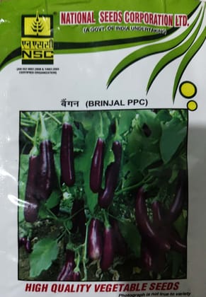 NSC BRINJAL variety-PPC , 10 gm of TL seed