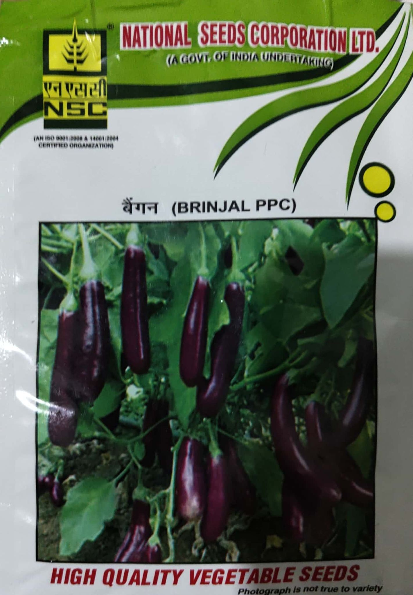 NSC BRINJAL variety-PPC , 10 gm of TL seed