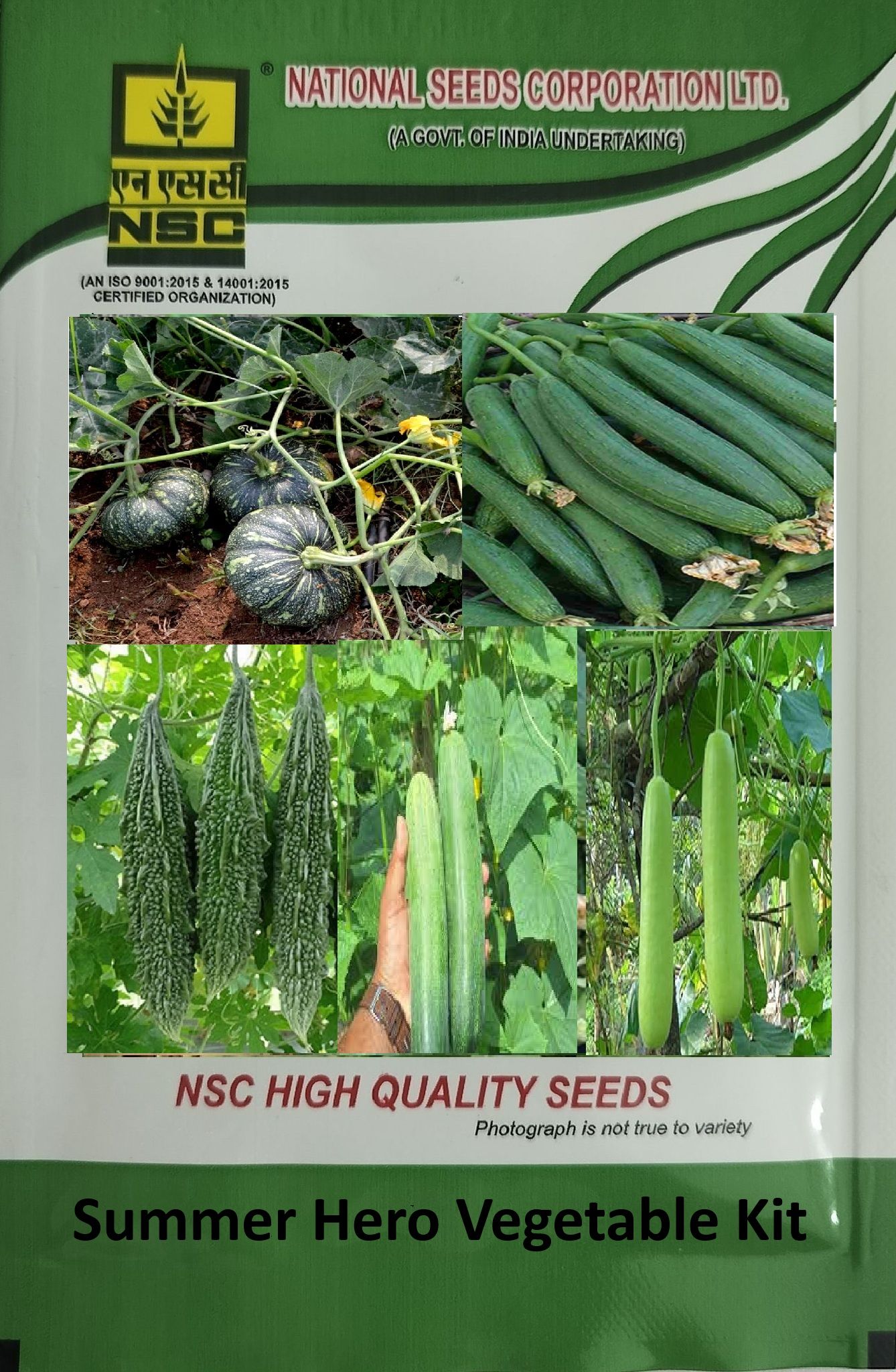 NSC Summer Hero Vegetable Kit