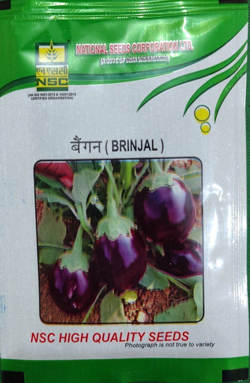 Brinjal