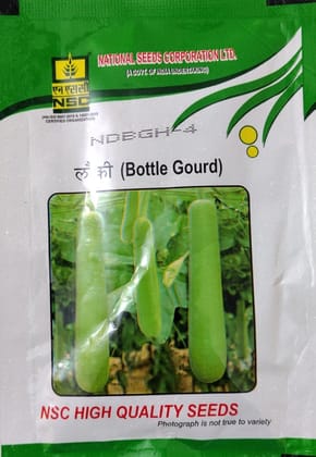 Bottle Gourd (NDBGH-4)