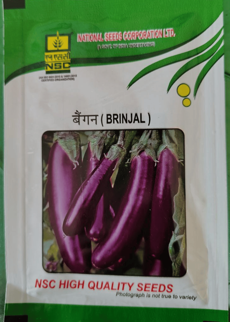 Brinjal