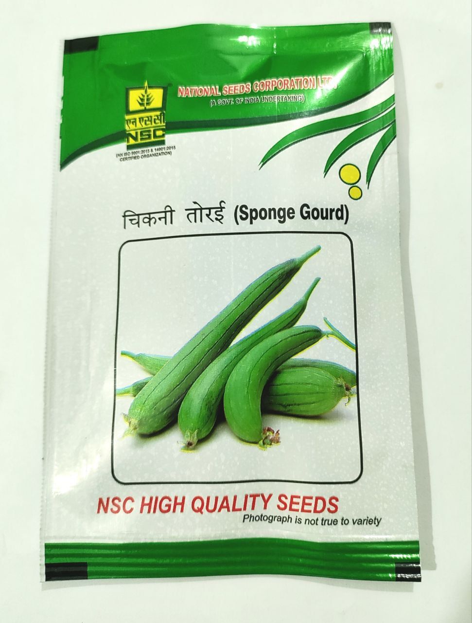 NSC Spong Gourd HY Kashi Rakshita