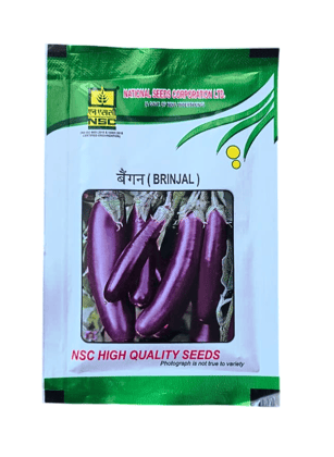 NSC Brinjal PPL