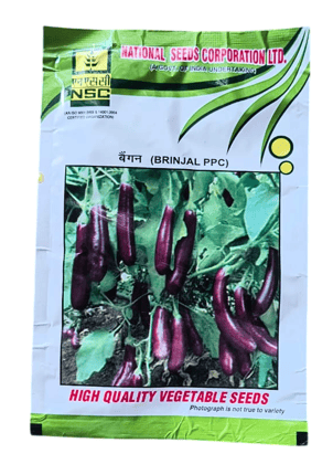 NSC Brinjal Seed PPC