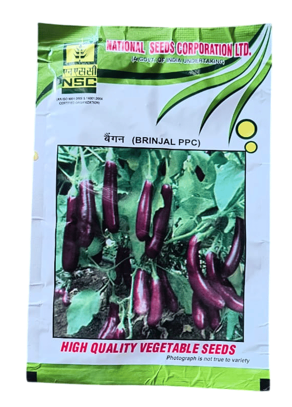 NSC Brinjal Seed PPC