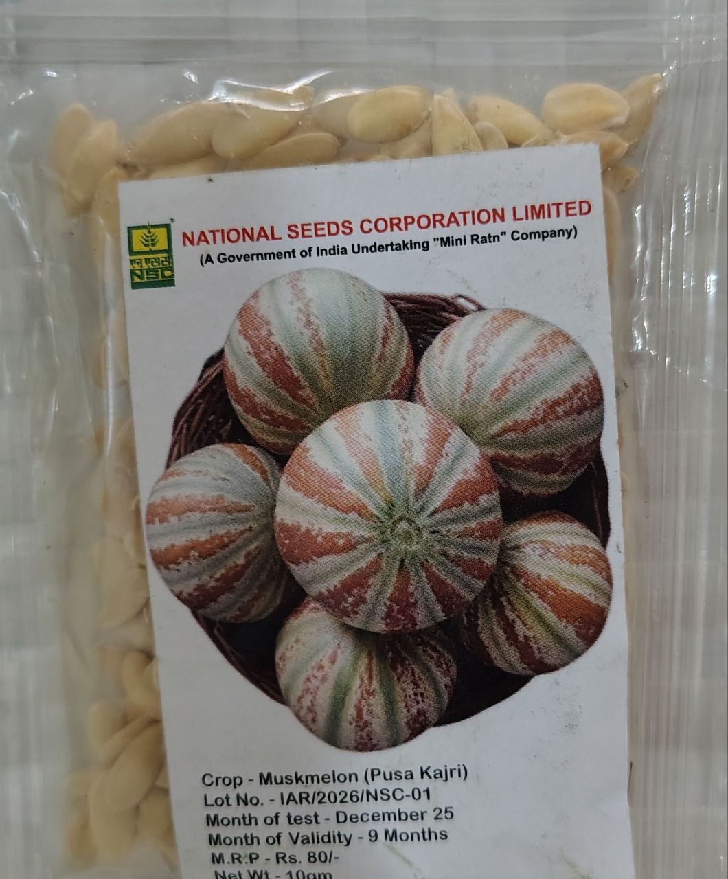 Musk melon (Pusa Kajri)