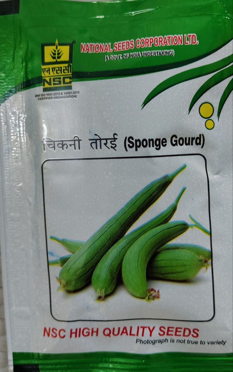 Sponge gourd (Kashi Rakshita)