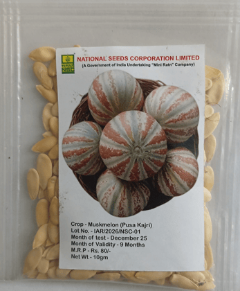NSC MUSKMELON VARIETY PUSA KAJRI TL