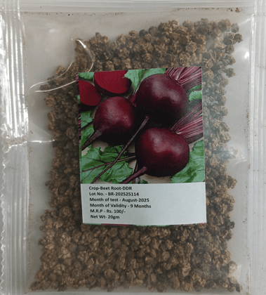 NSC BEET ROOT VARIETY DDR TL