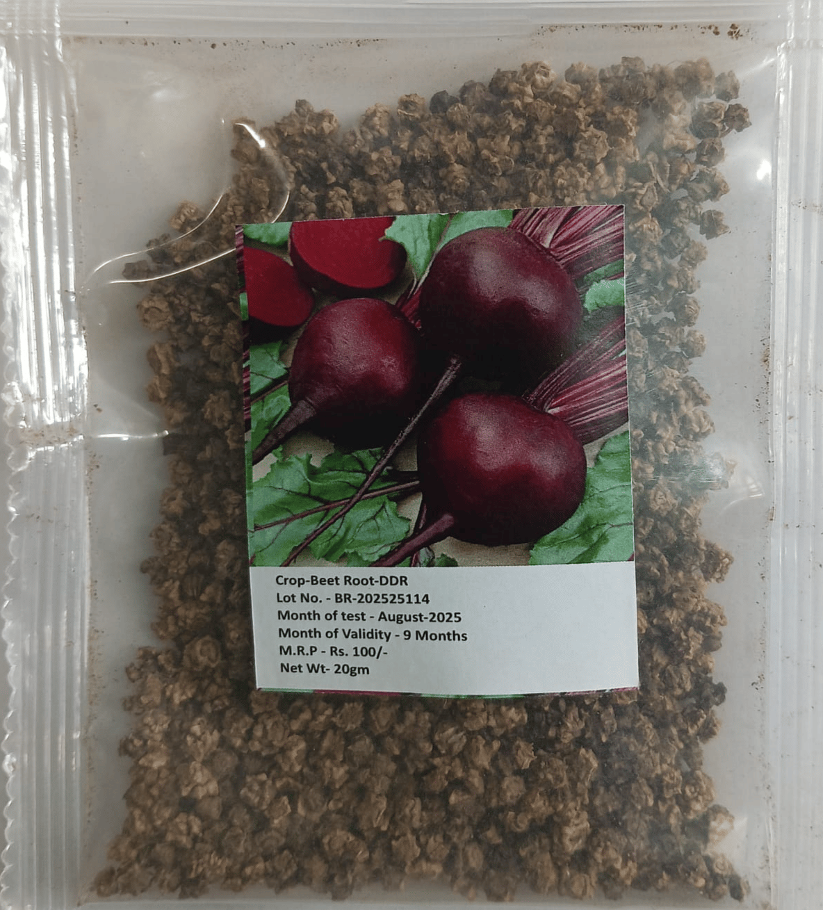 NSC BEET ROOT VARIETY DDR TL