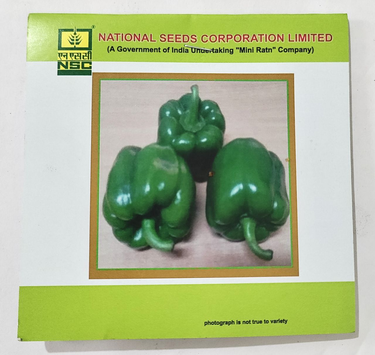 NSC Capsicum Seed (California Wonder)