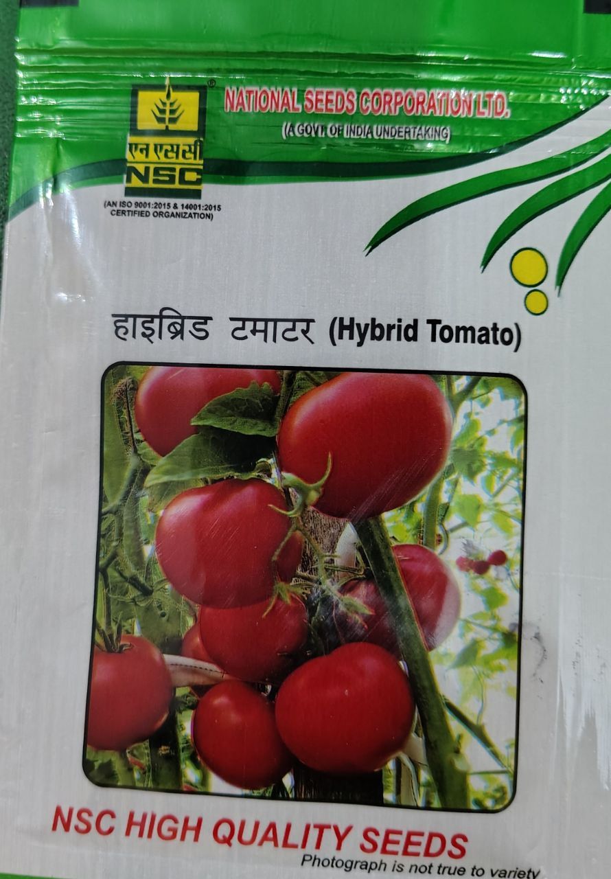 tomato (Kashi Abhiman)