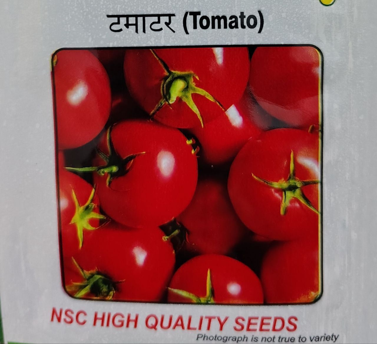 Tomato (Arka Samrat)