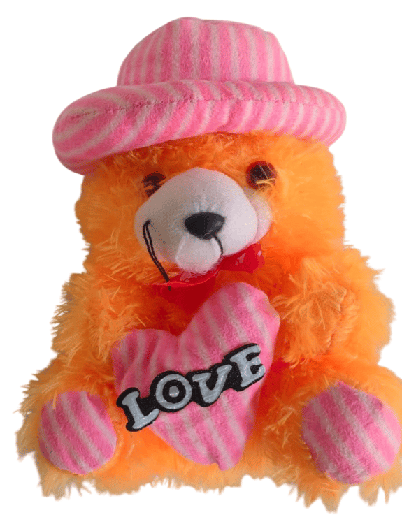 Cap Teddy Bear Soft Toy