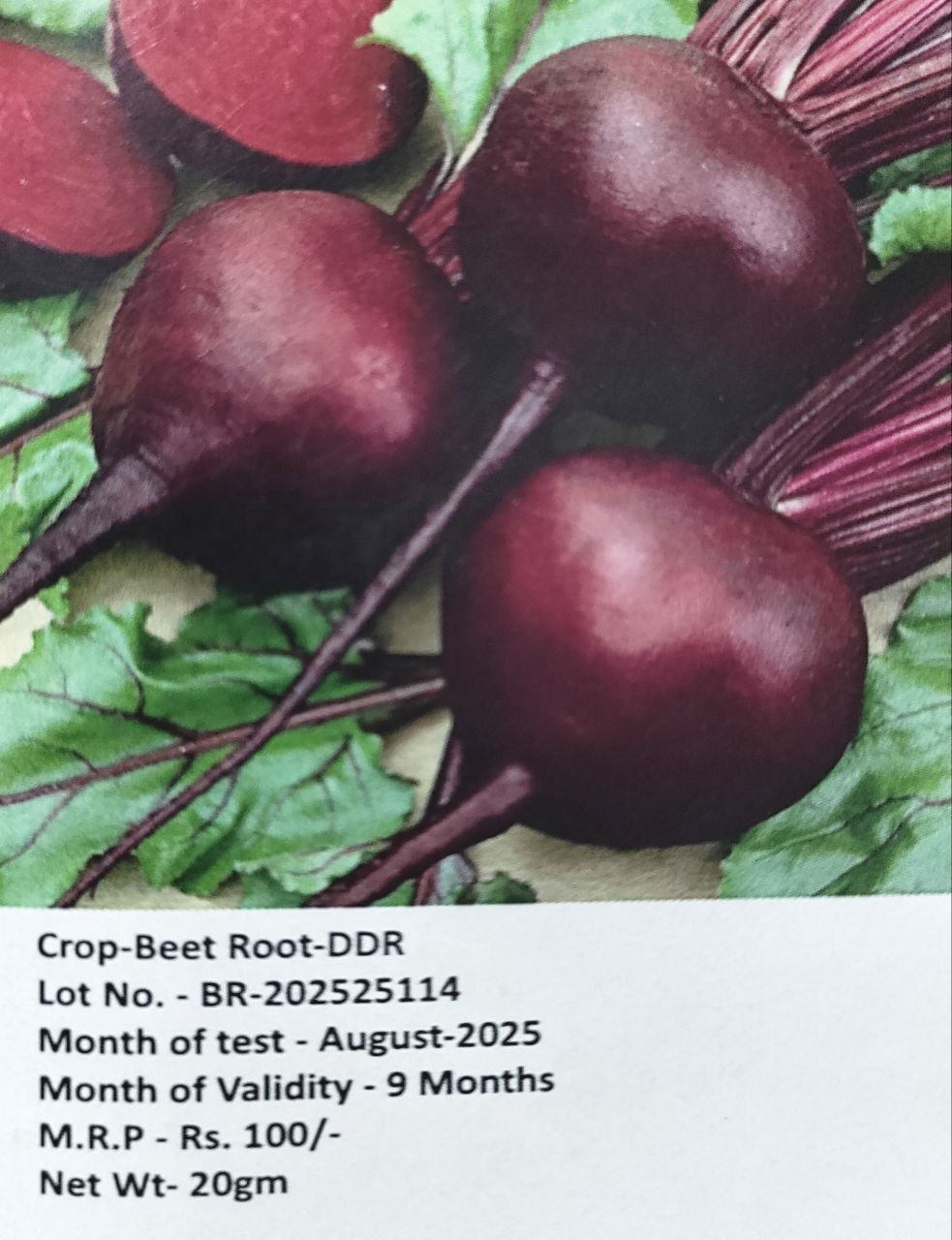 NSC Beet Root Seed-DDR