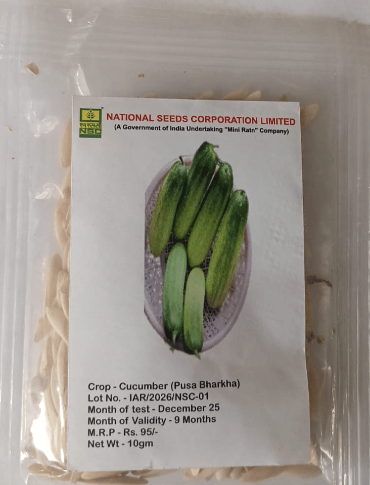 NSC, CUCUMBER, VARIETY PUSA BARKHA TL