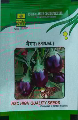 NSC BRINJAL (PUSA UTTAM)