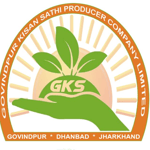 Govindpur Kisan Sathi Producer Company Limited