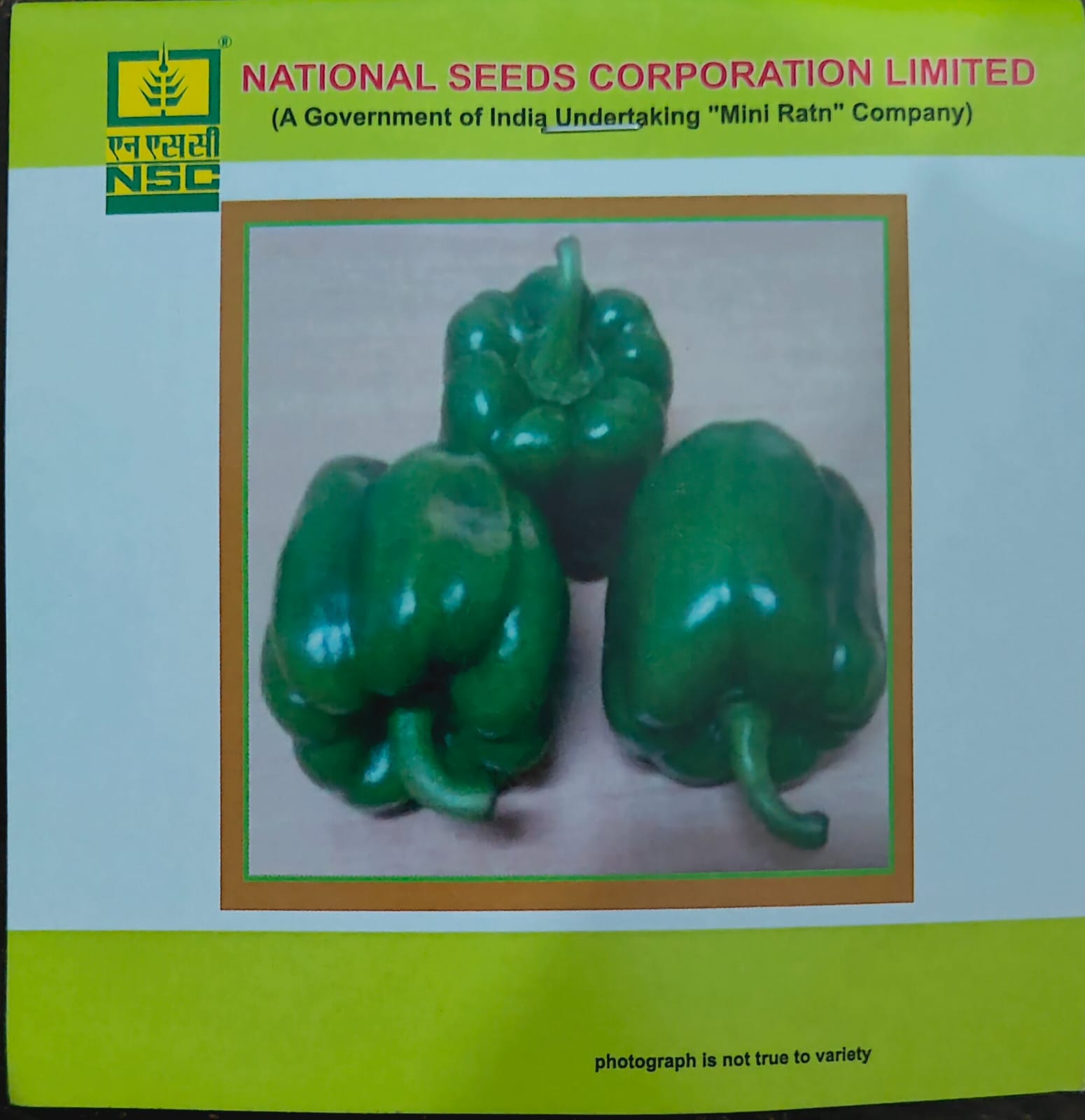 NSC CAPSICUM (California Wonder)