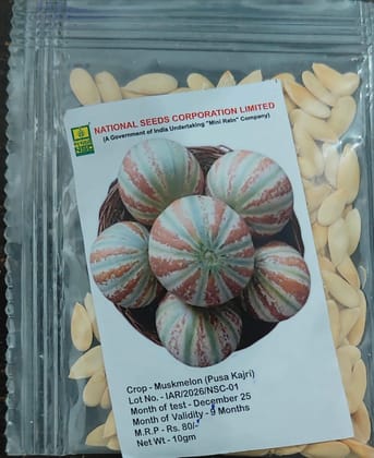 NSC Muskmelon (Pusa Kajri)