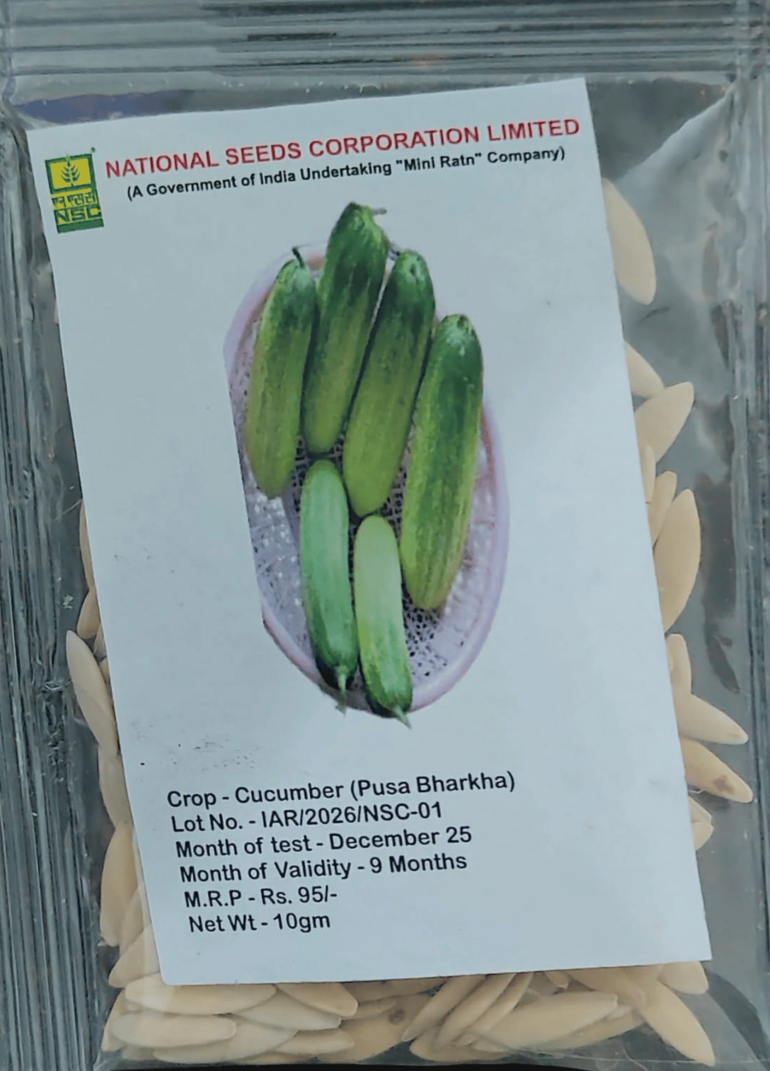 NSC Cucumber Pusa Bharkha