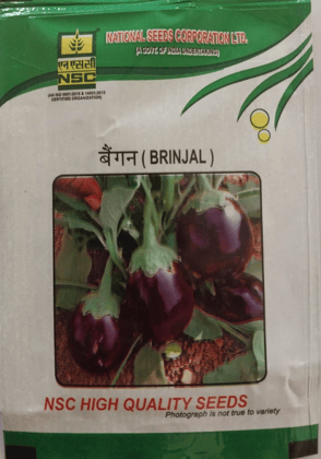 Brinjal Variety- Pusa Uttam (TL) Seeds