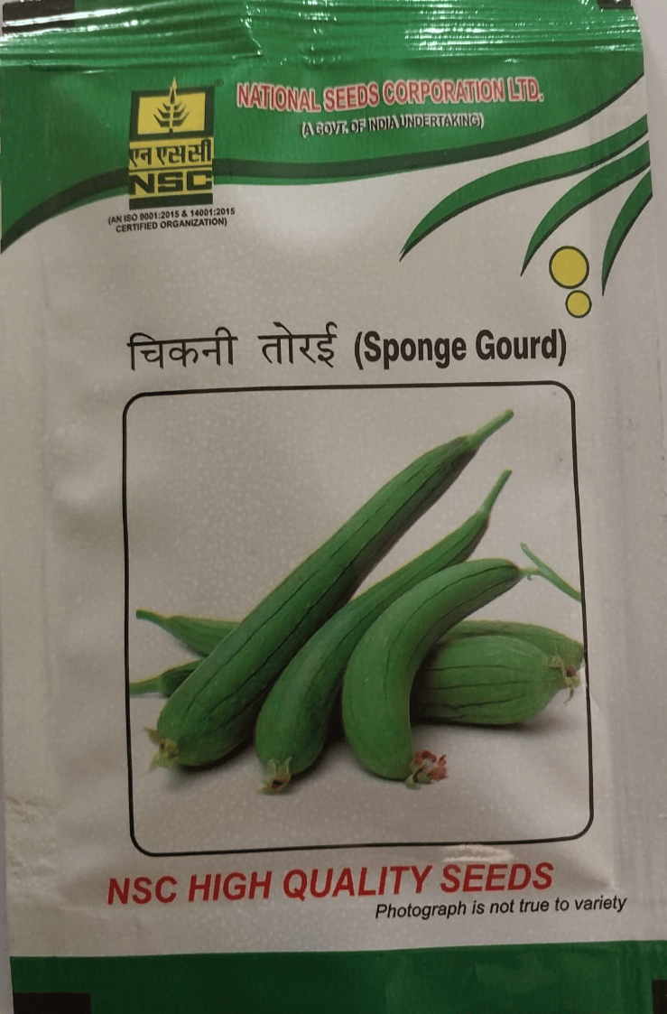 SPONGE GOURD - KASHI RAKSHITA TL