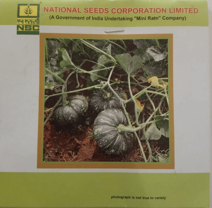  Vegetable seed Pumpkin - Kahi Harit TL