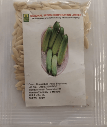 CUCUMBER - PUSA BARKHA TL