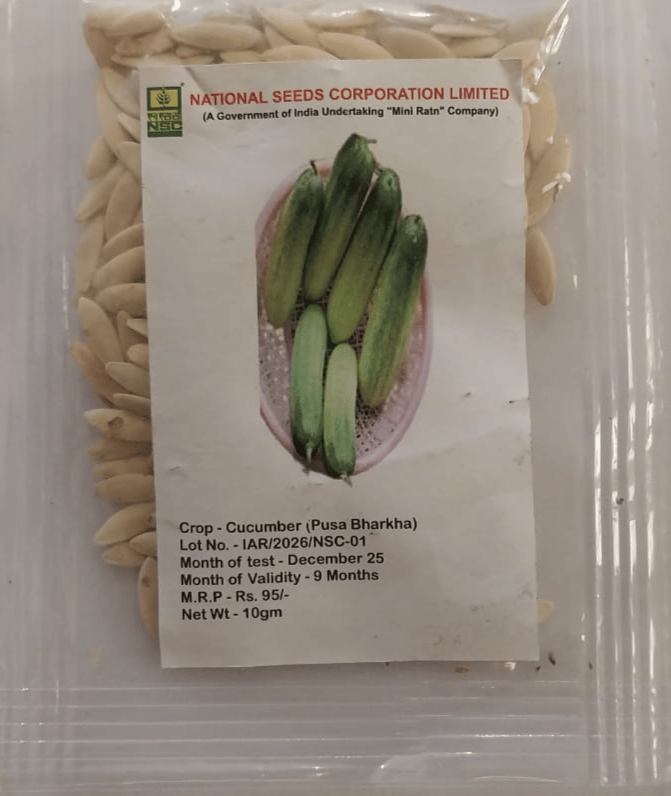 CUCUMBER - PUSA BARKHA TL