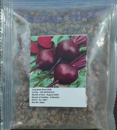 NSC Beet Root Seed-DDR
