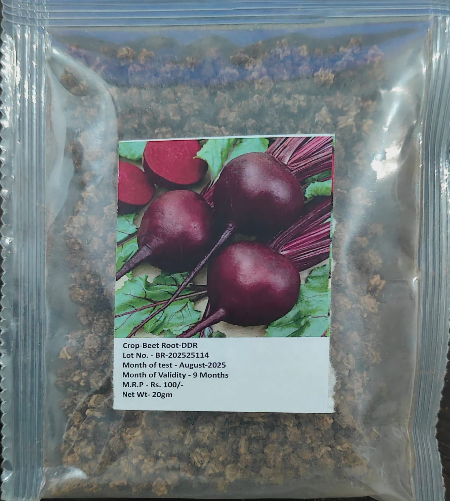 NSC Beet Root Seed-DDR