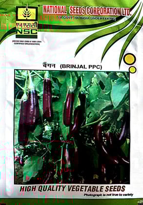 BRINJAL TL(PPC Variety)