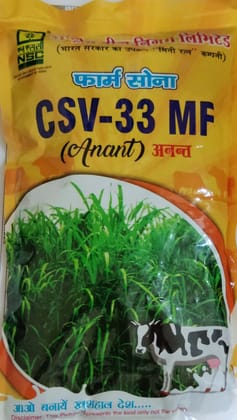NSC SORGHUM CSV-33 MF (Anant) T/L 500 gms