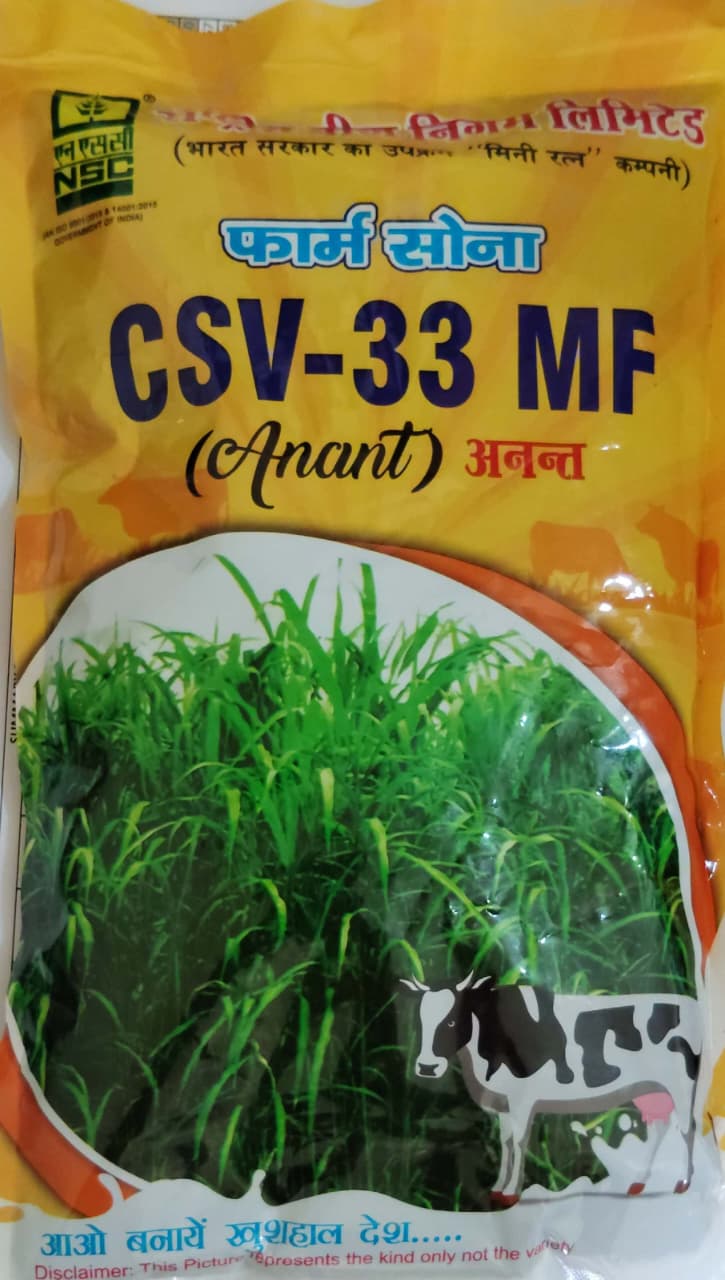 NSC SORGHUM CSV-33 MF (Anant) T/L 500 gms
