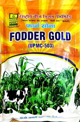 NSC Farm Sona Fodder Gold Sorghum Seeds/ UPMC-503 T/L (1 KG)