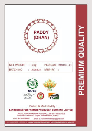 Santoshini Fed Paddy Dhan Premium Quality Rice Grains