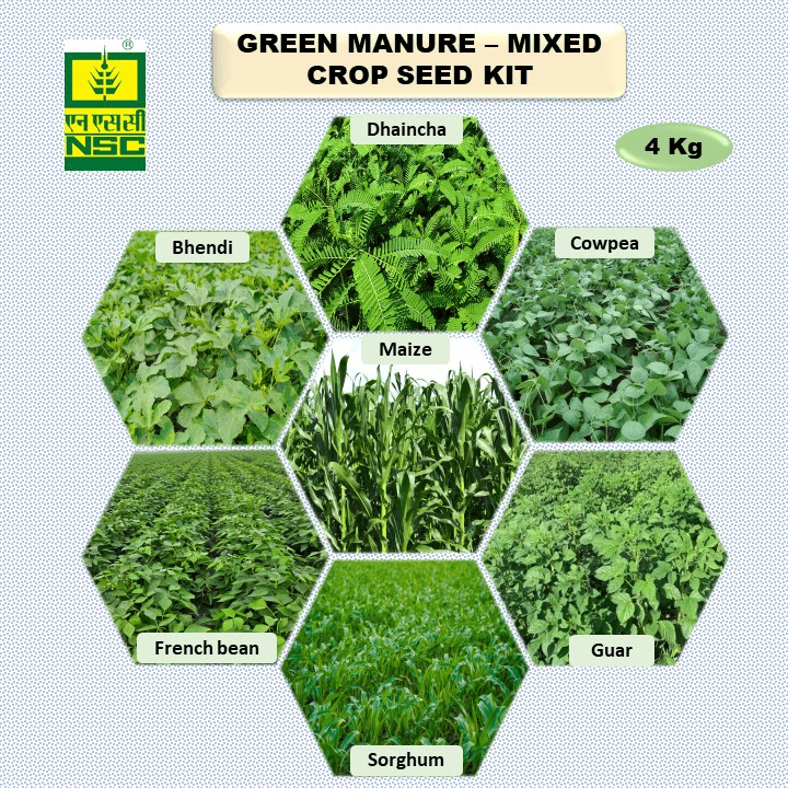 NSC Green Manure Mixed Crop Seed Kit