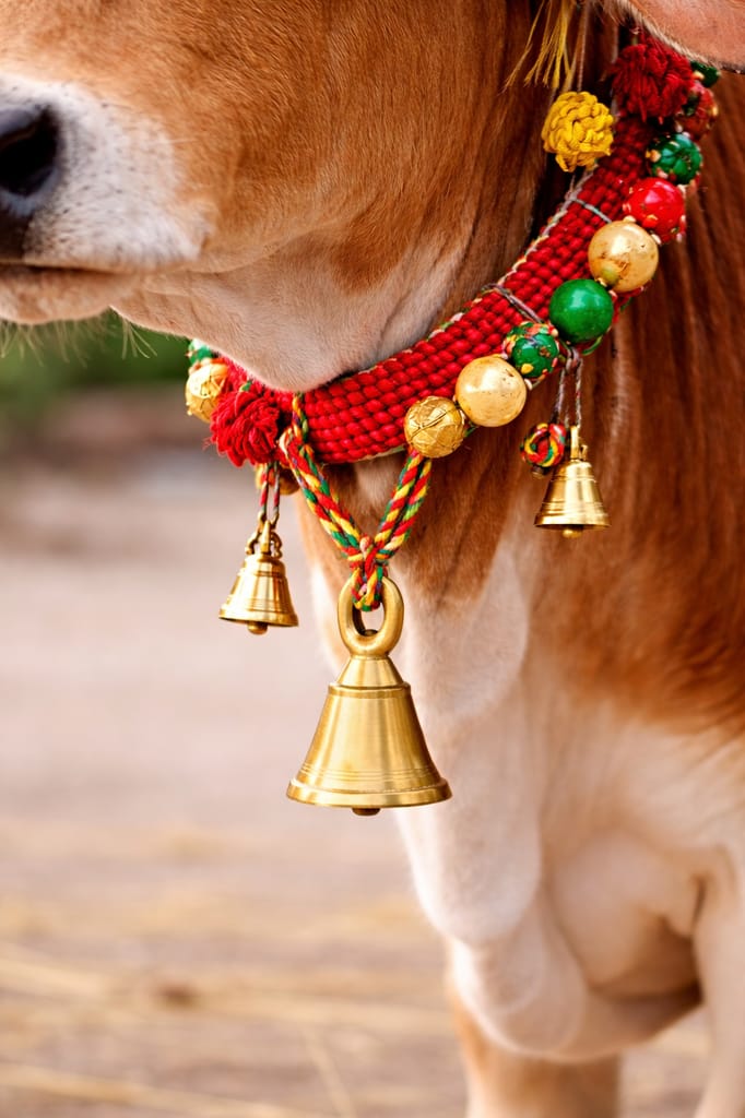 Mini Brass Bell, Small Ghanti, Decorative Bell, Puja Bell Set 150gm 6pieces  - Pooja Needs | Buy online on ZillyBuy