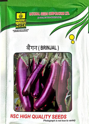 NSC BRINJAL PPL SEEDS - 10GM