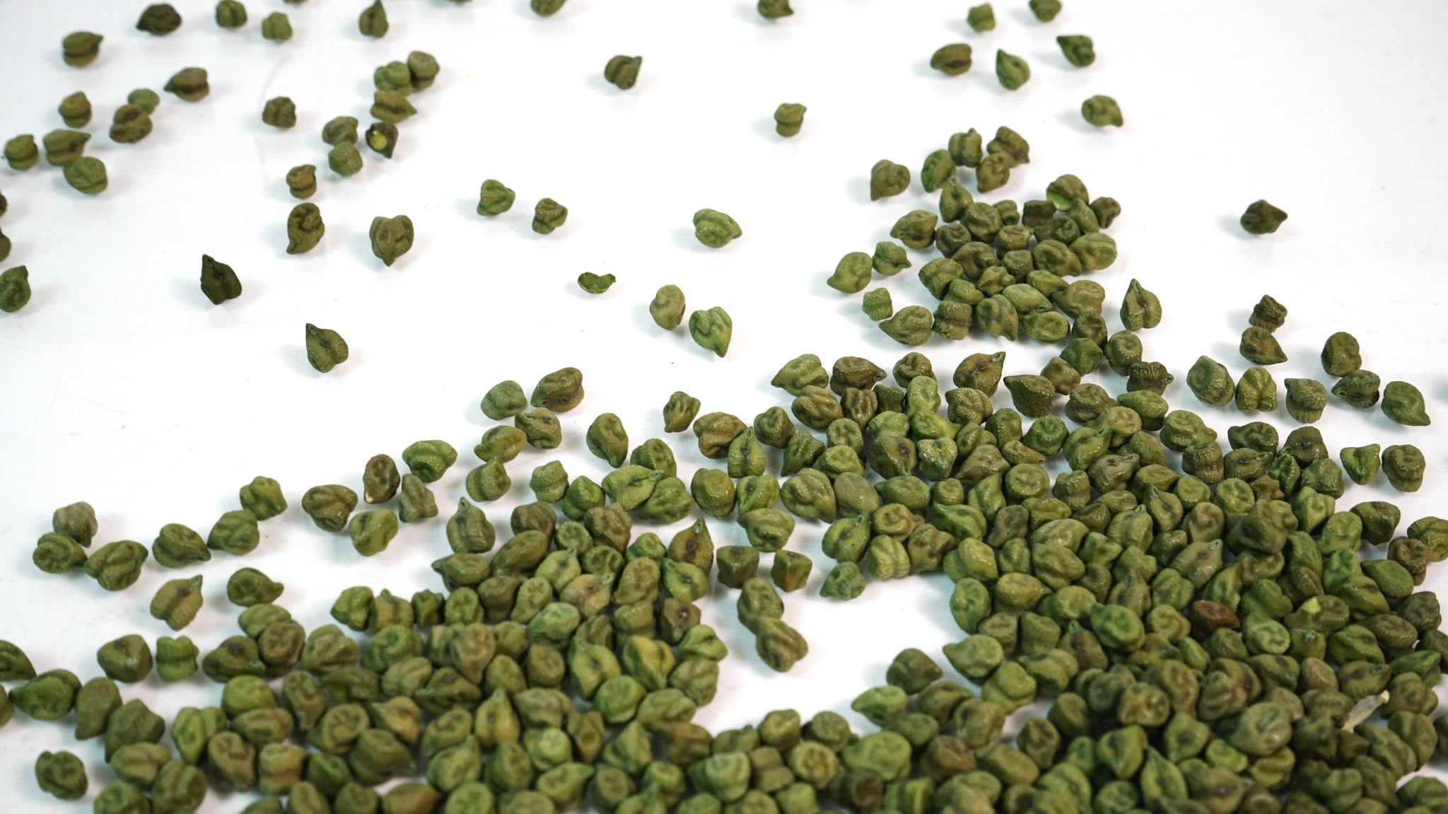 Harbhara 250 gram